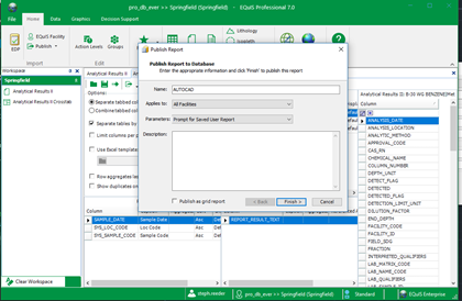 EQuIS_for_AutoCAD_publish_report_db
